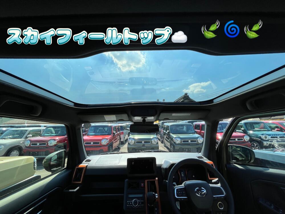 タフト独自の機能！”スカイフィールトップ！【くるまのハヤシ】