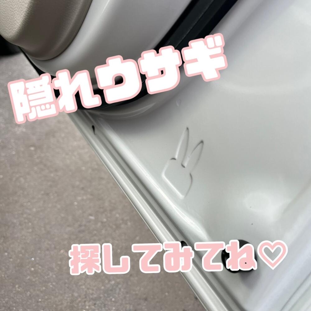 隠れウサギ、ラパン